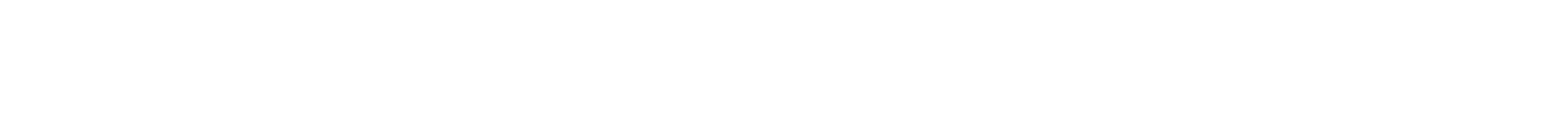 Puncte